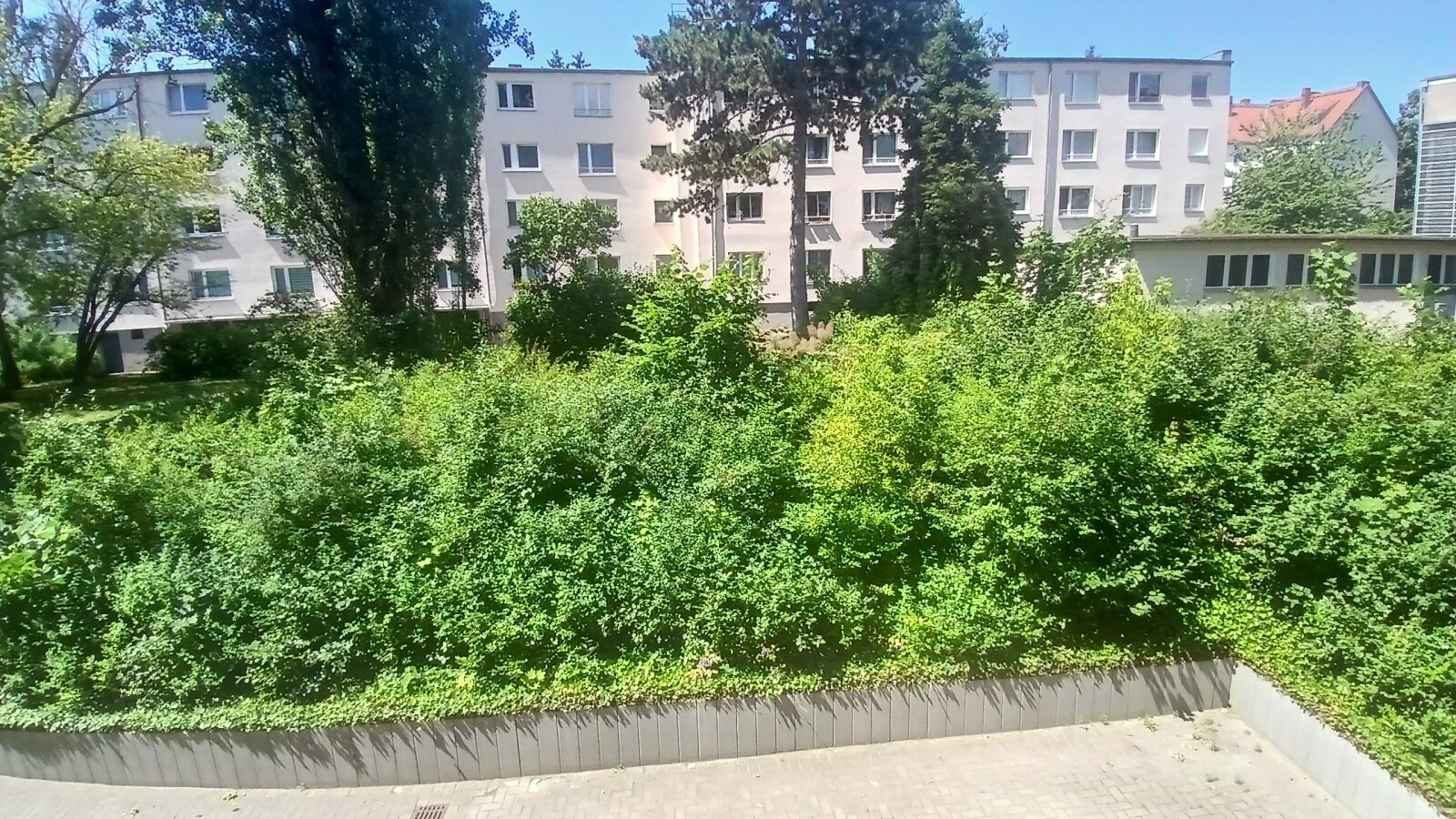 Blick aus dem Wohnzimmer